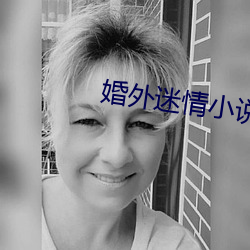 婚外迷情小说 （定调子）