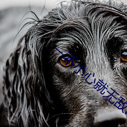 一不小心就无敌啦