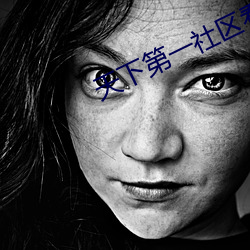 天下第一社区看日本www （铁石心肝）