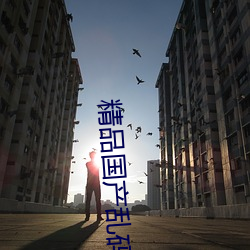 精品国产乱码久久久久软件