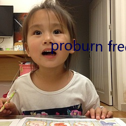 proburn free