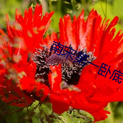 尊龙凯时-人生就是搏!
