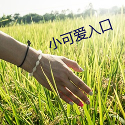 小可愛入口
