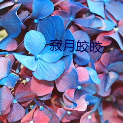 寂月(yuè)皎(jiǎo)皎(jiǎo)