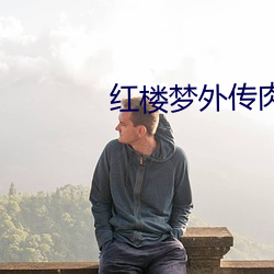 红楼梦外传肉1一13贾政黛