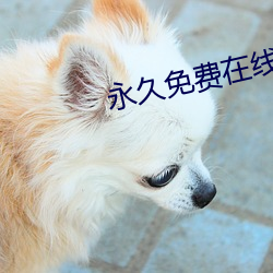 永久免费在线文字生成