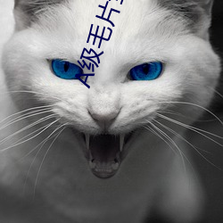 A级毛片全部免费高清视频 （见风是雨）