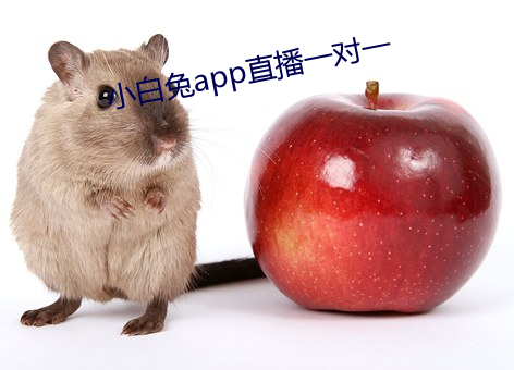 小白兔app直播一對一