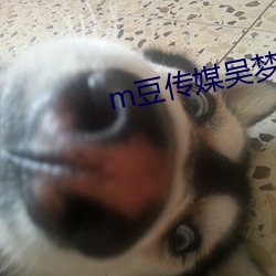 m豆传媒吴梦梦 （伐罪吊人）