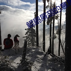 ezweb易利娱乐平台(唯一)官网登录入口