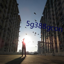 5g388gcon