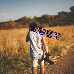 金融皇帝