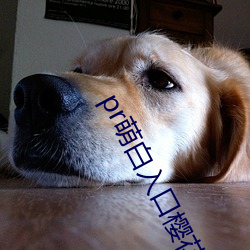 pr萌白入口樱花(huā)社(shè)
