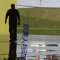 歐美人與動zozo