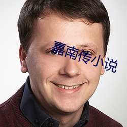 嘉南传小说