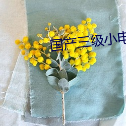 国产三级小电影