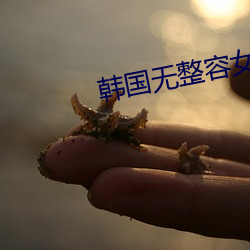 韩国无整容女星排行榜 （成也萧何，败也萧何）