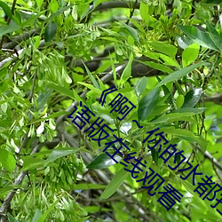 2023&#x4E00;&#26412;&#x4E8C;&#26412;&#x4E09;&#26412;&#x7684;&#20998;&#x6570;&#32447; | (2024)&#22312;&#x7EBF;&#35266;&#x770B; [1080P]