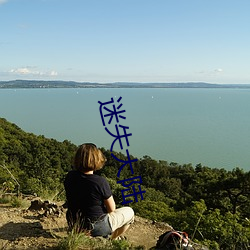 迷失大陆 （大方之家）