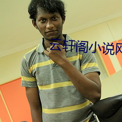 云轩阁小说网