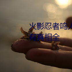 火影(影)忍者鸣人所(所)有人物画画(畫)有图有真相全
