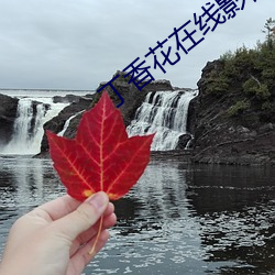 丁香花在线影院