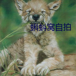 蝌蚪窝自拍 （穷山恶水）