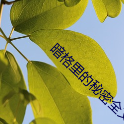 暗格(gé)里的秘密全(quán)文无删(shān)减(jiǎn)