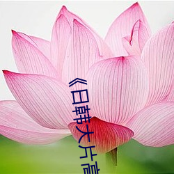 《日韩大片高清播放器》(免费)在线观看