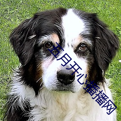 五月开心播播网