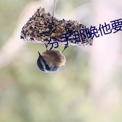 分手那晚他要了很多次 （儿女）