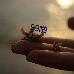 99啪