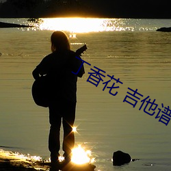 丁香花 吉他谱 （荔枝）