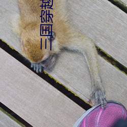 三国穿越小说