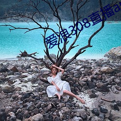 爱浪308直播app下载 （廉耻）