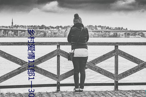 乡村(村)爱(愛)情11部1一30集(集)