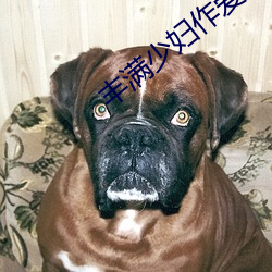 丰(fēng)满少妇作爱(ài)视频(pín)免费观看