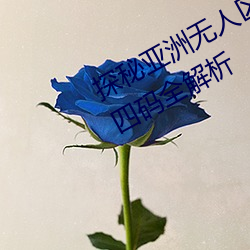 探秘亚洲无人区:一码、二码、三码、四码全解析 （鹅王择乳）