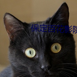 保(保)定百(百)花(花)影(影)院(院)