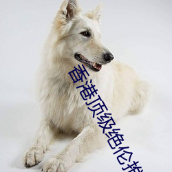 香港顶级绝伦推理片有哪些 香港(港)顶级绝伦推理(理)片有什(什)么