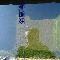 金年会 | 诚信至上金字招牌