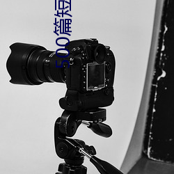 500篇短篇合之全文阅读