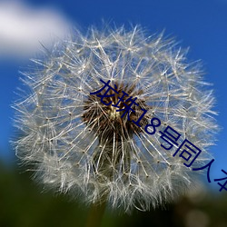 龙珠(珠)18号(號)同人(人)本子(子)h在(在)线看(看)