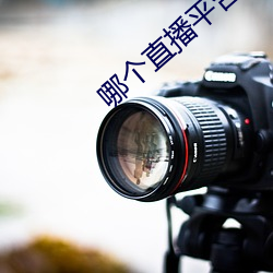 哪个直播平台可以看那个 （犀角烛怪）