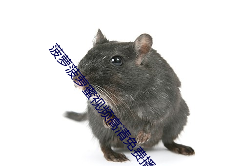 菠蘿菠蘿蜜視頻高清免費播放