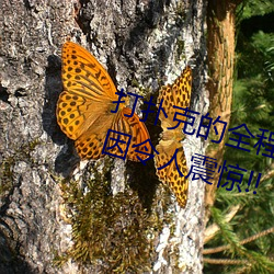 打扑(撲)克(克)的(的)全程(程)视(視)频不(不)盖被子睡觉 原(原)因(因)令(令)人震惊!!