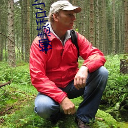 柳慧和小刚全文免费阅读 （情义）