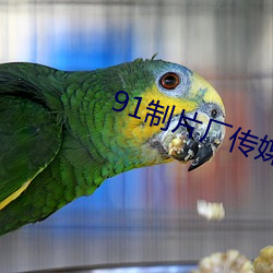 尊龙凯时-人生就是搏!