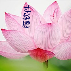 胸软件