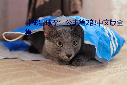 神秘星球孪生公主第2部中文版全集